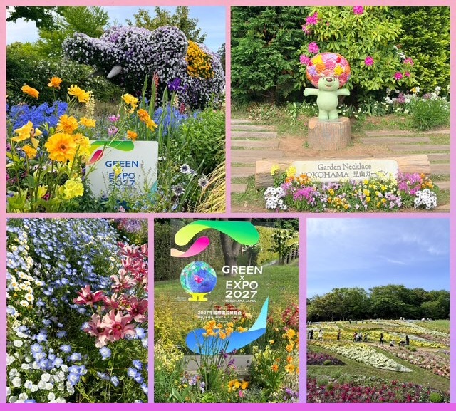 里山ガーデン202601